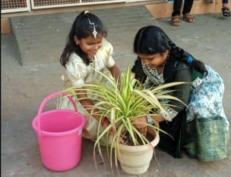 Eco Club
